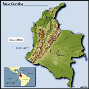 Castillo, Caturra, and Colombia from Guadalupe, Huila