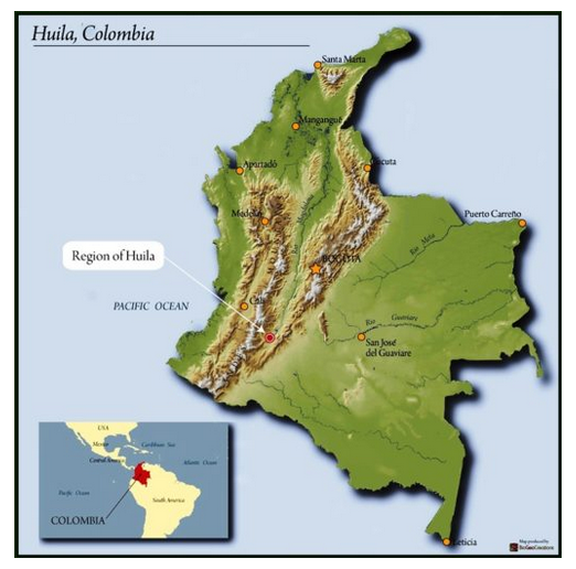 Terra Coffee Natural Pink Bourbon, Huila Colombia